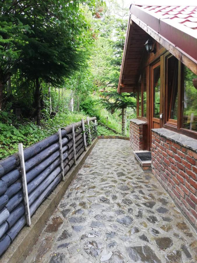 Villa La Gabi Azuga Esterno foto